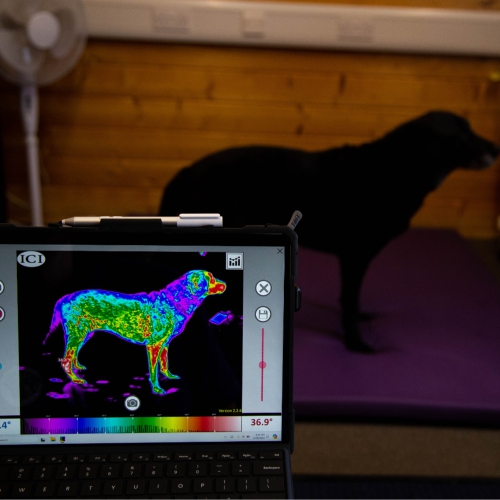 Courses and Workshops